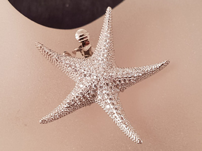 Designschliesse Seestern, Strass, 31x32mm Silber rhodiniert Designschliesse Seestern, Strass, 31x32mm Silber rhodiniert