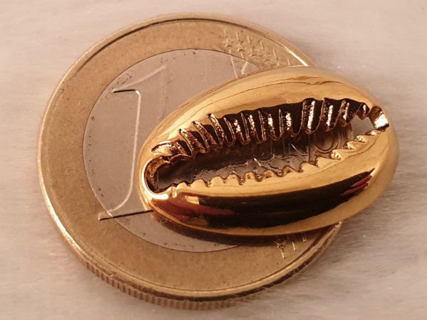 Zwischenteil-LInk Kaurimuschel 19x13x3mm, Edelstahl gold
