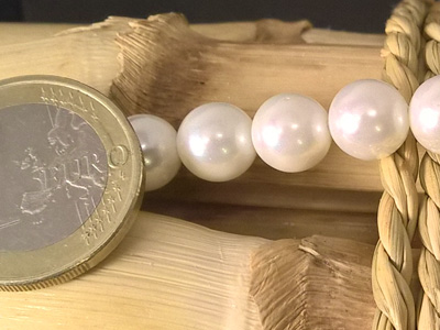shell pearl 8mm