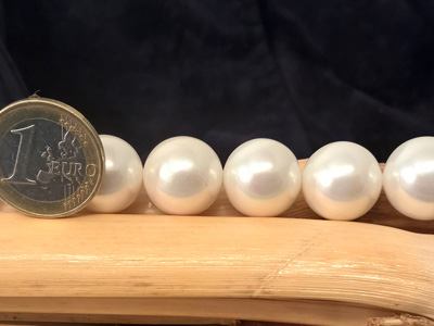 shell pearl 16mm