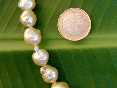 southseapearl necklace gold strand 9-11mm