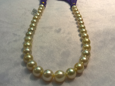 southseapearl necklace gold strand 12.1-14.3mm