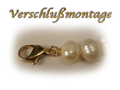 clasp fixing pearl goldplated +4cm