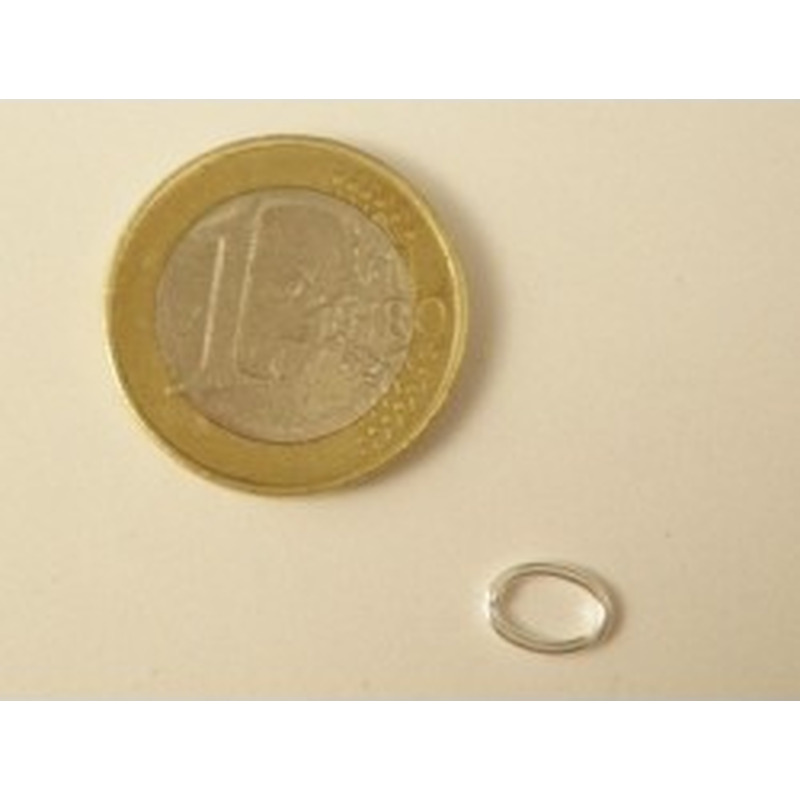 Ring 6x8mm, geschlossen, Silber 2