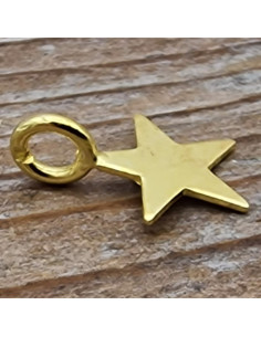 Charm Stern 11mm, 925 Silber vergoldet 2
