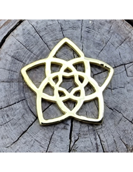 Zwischenteil-Link Lotus 15x1mm, 925 Silber vergoldet