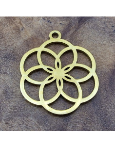 Samen des Lebens 18mm, Edelstahl gold