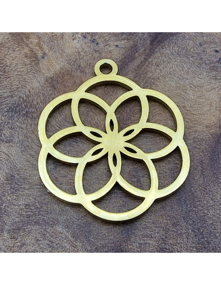 Samen des Lebens 18mm, Edelstahl gold