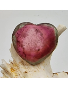Wassermelonenturmalin 25x7mm