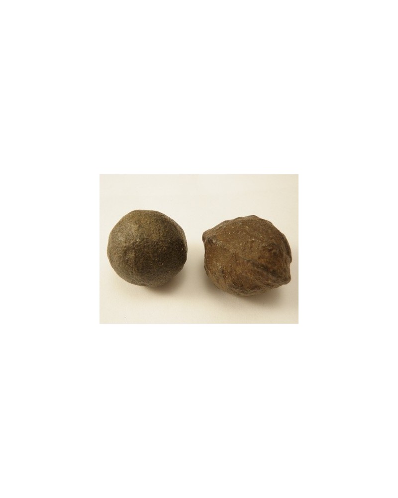 Moqui Marbles, 1 Paar