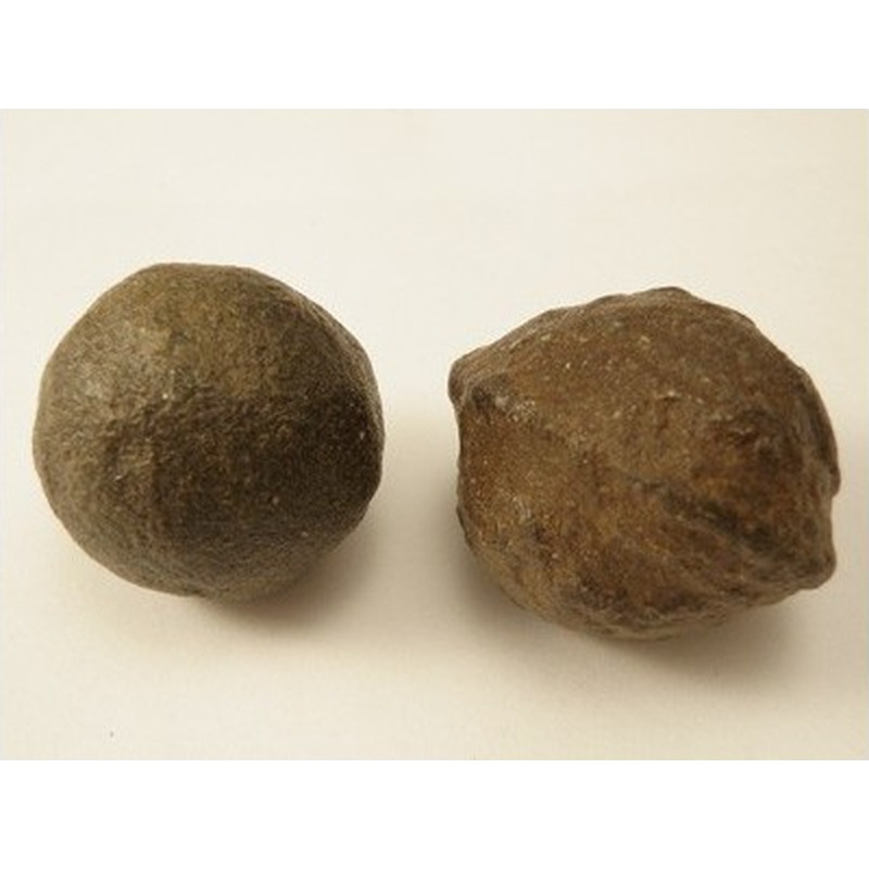 Moqui Marbles, 1 Paar