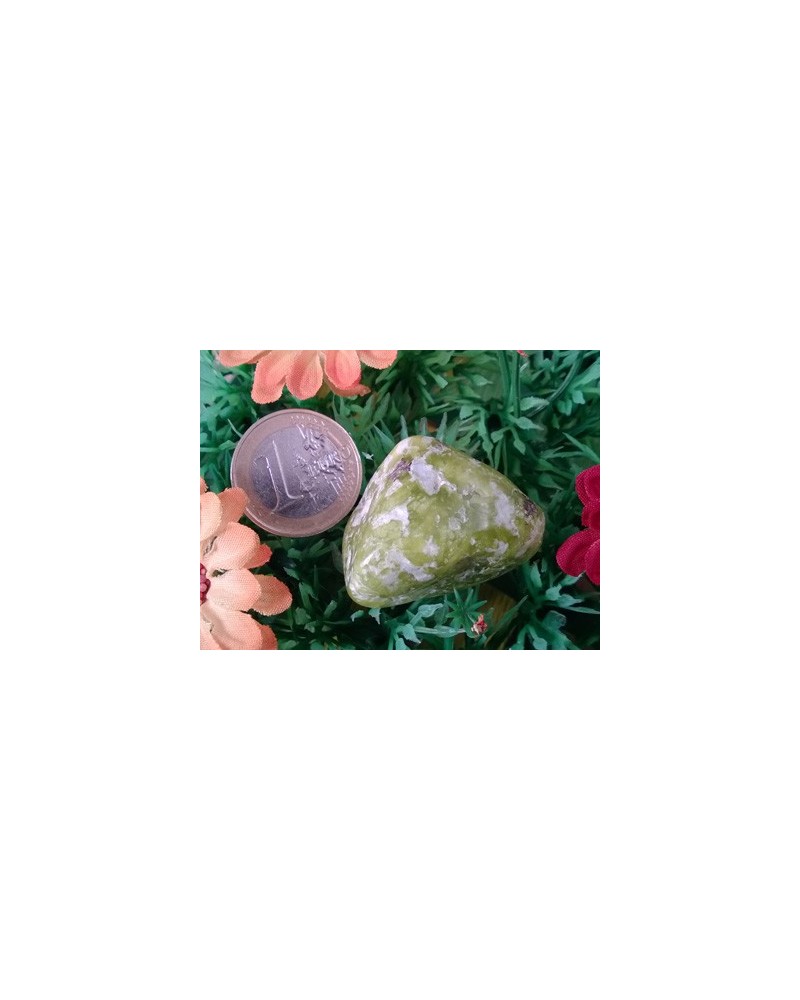 Lizardit Handschmeichler (Norwegische Jade)