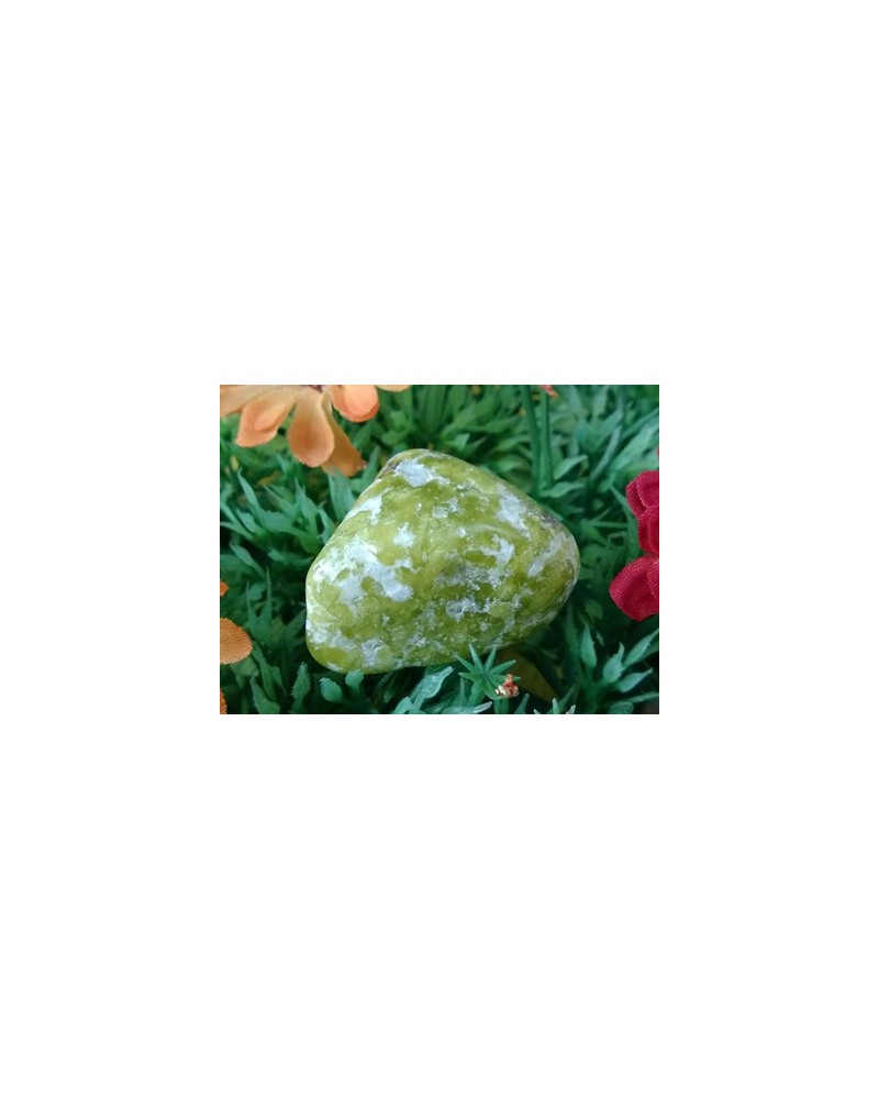 Lizardit Handschmeichler (Norwegische Jade)