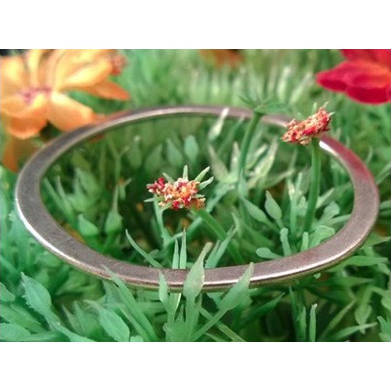 Zwischenteil, Ring 50mm, Metall Antik