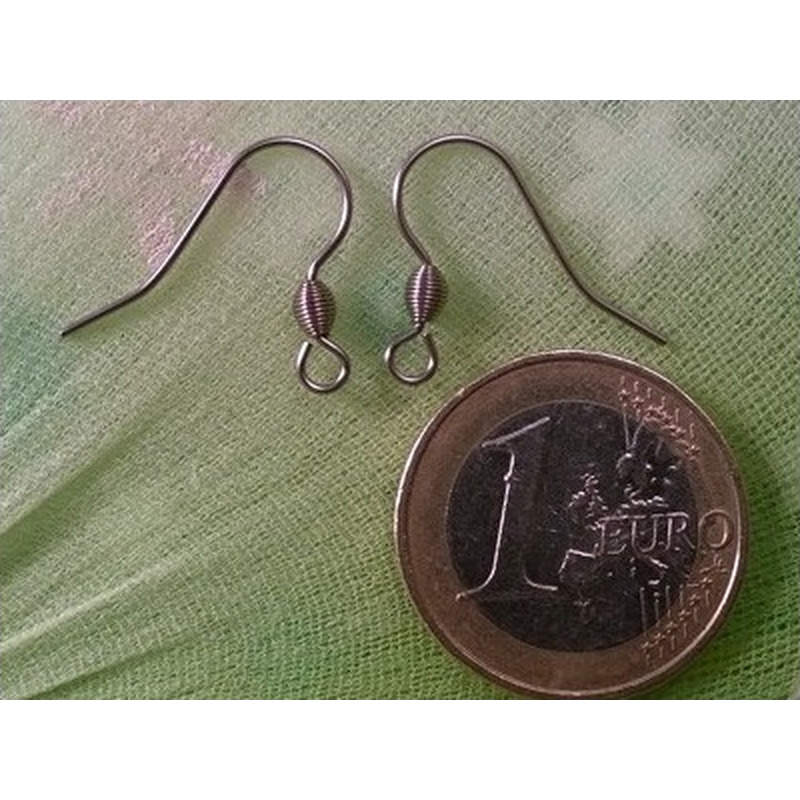 Ohrhaken 17mm (2 Stk), Edelstahl
