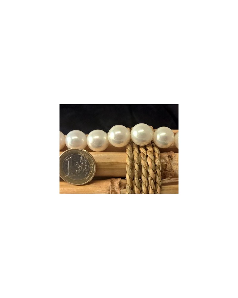 Shellperle 14mm