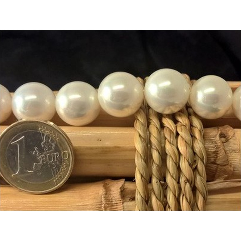 Shellperle 14mm