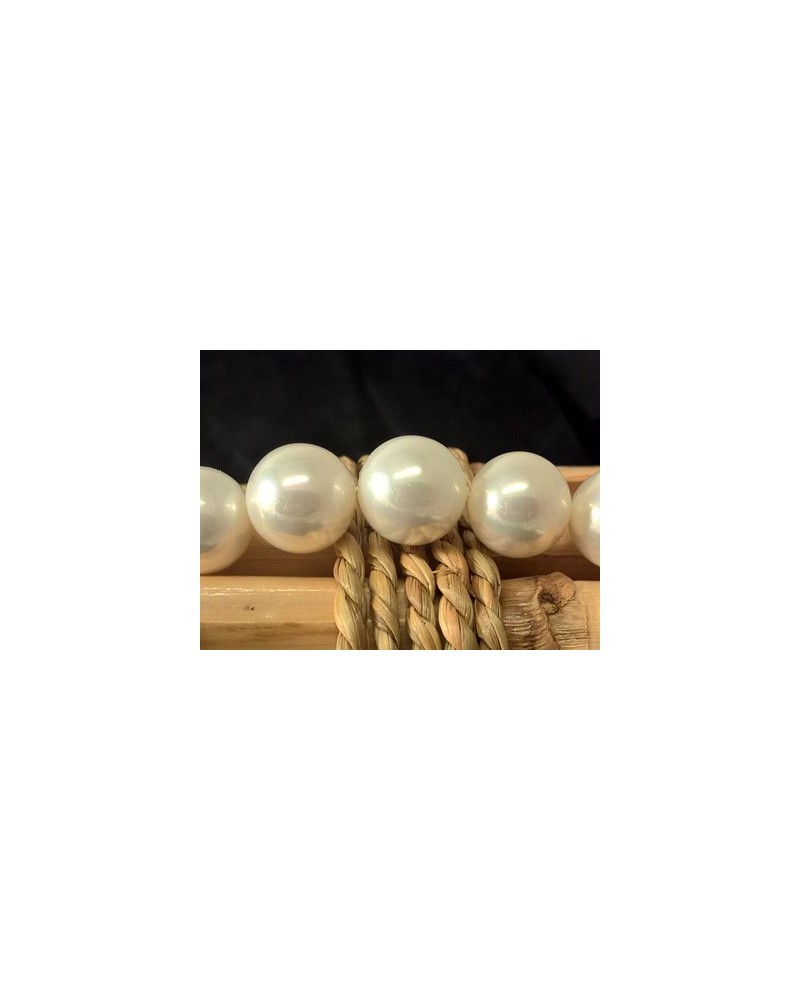 Shellperle 14mm