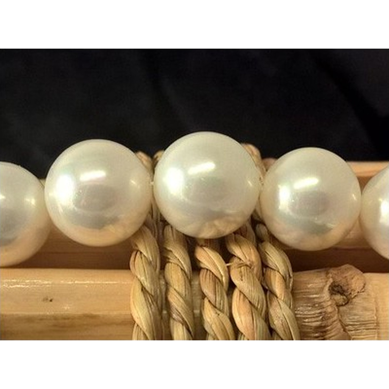 Shellperle 14mm