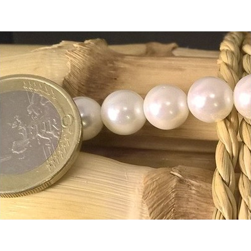 Muschelkernperle Shellperle 8mm