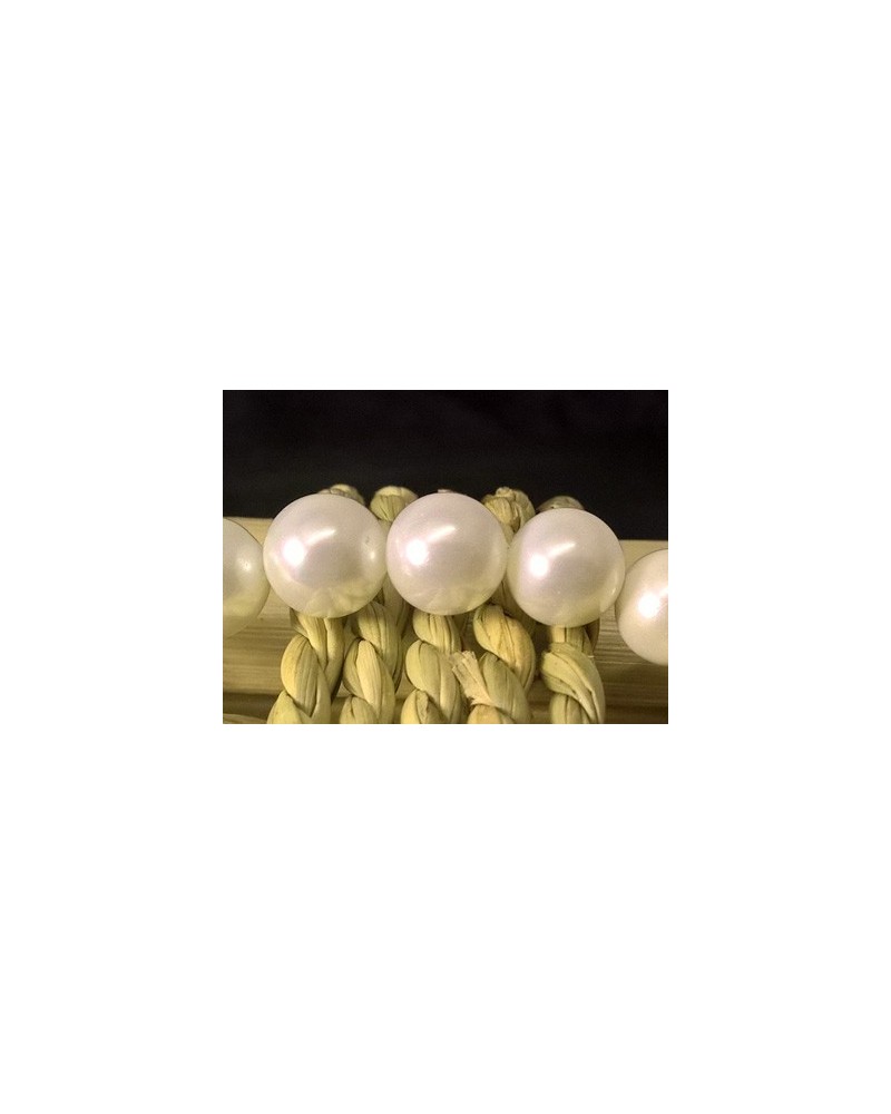Muschelkernperle Shellperle 8mm