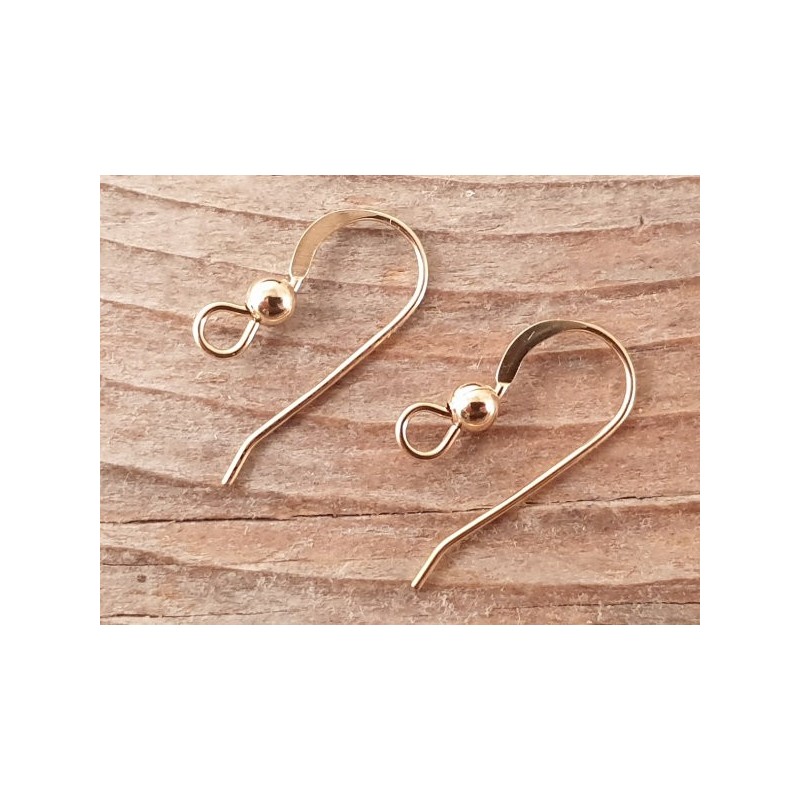 2 Stk. Ohrhaken 14mm, Goldfilled