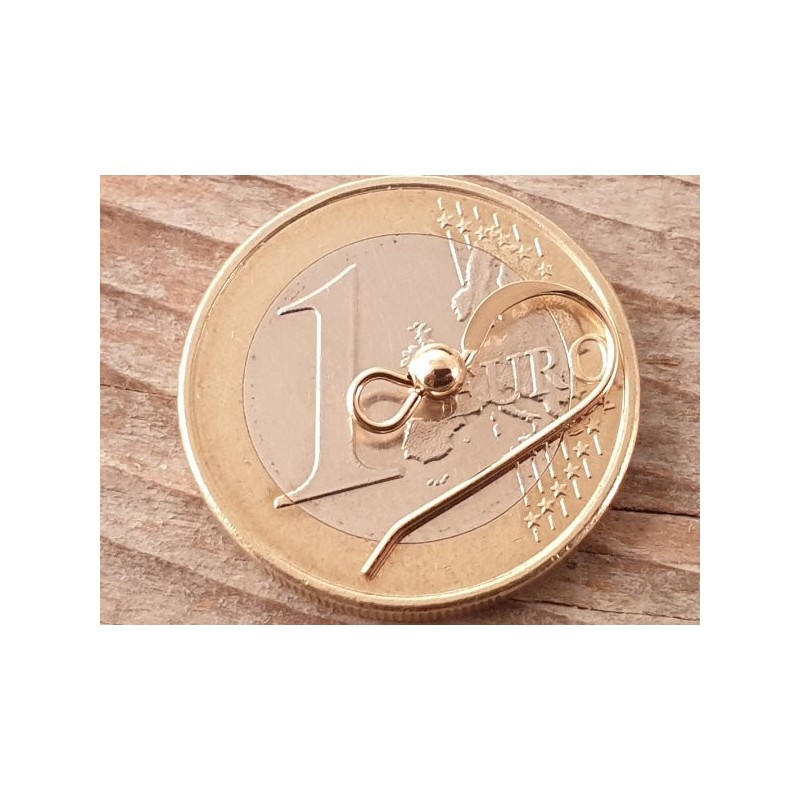2 Stk. Ohrhaken 14mm, Goldfilled