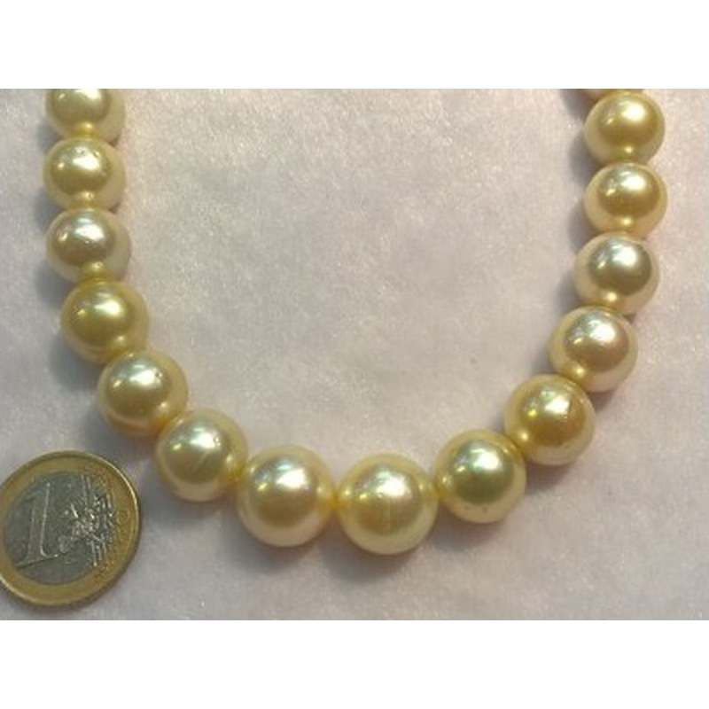 Südseeperlen Strang gold 12.1-14.3mm