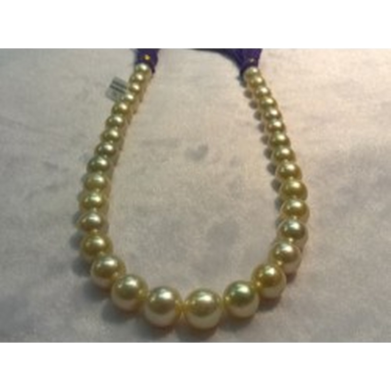 Südseeperlen Strang gold 12.1-14.3mm