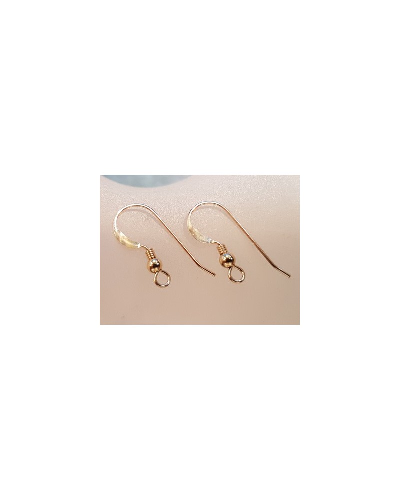2 Stk. Ohrhaken 17mm, Goldfilled