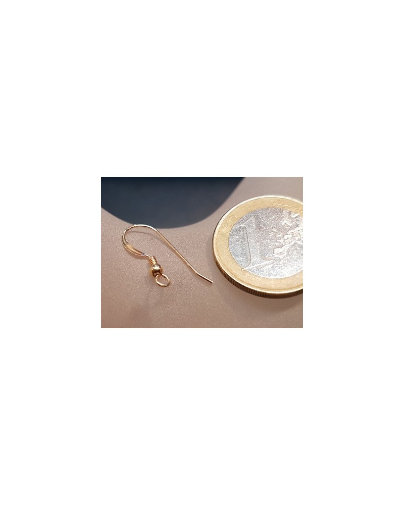 2 Stk. Ohrhaken 17mm, Goldfilled