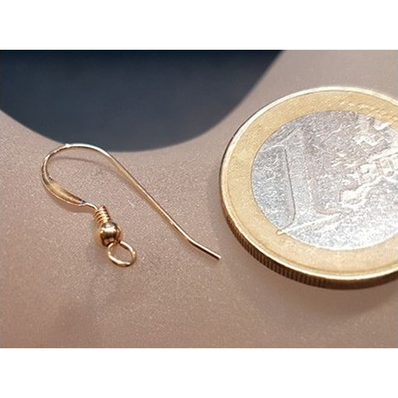 2 Stk. Ohrhaken 17mm, Goldfilled