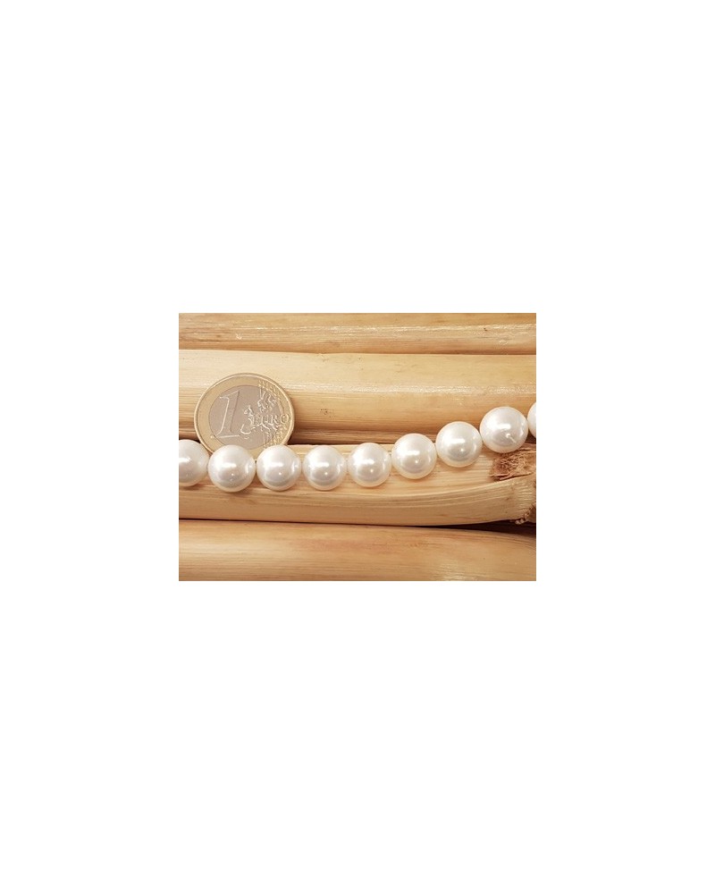Shellperle 10mm