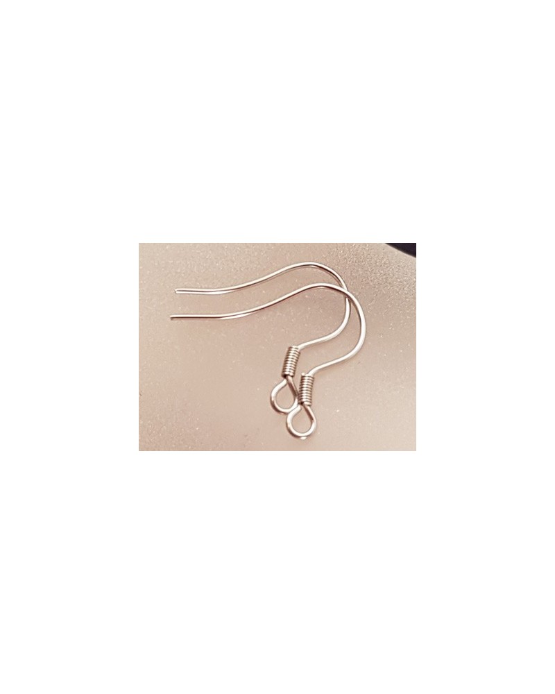 Ohrhaken 17mm (2 Stk), Edelstahl