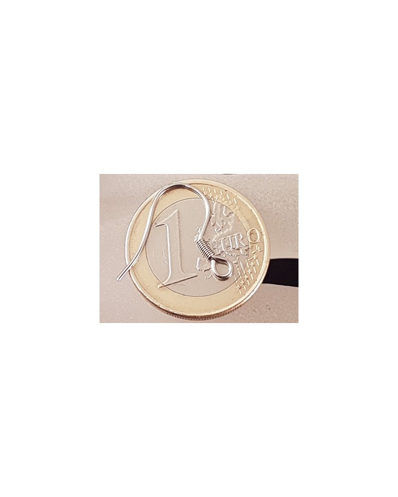 Ohrhaken 17mm (2 Stk), Edelstahl