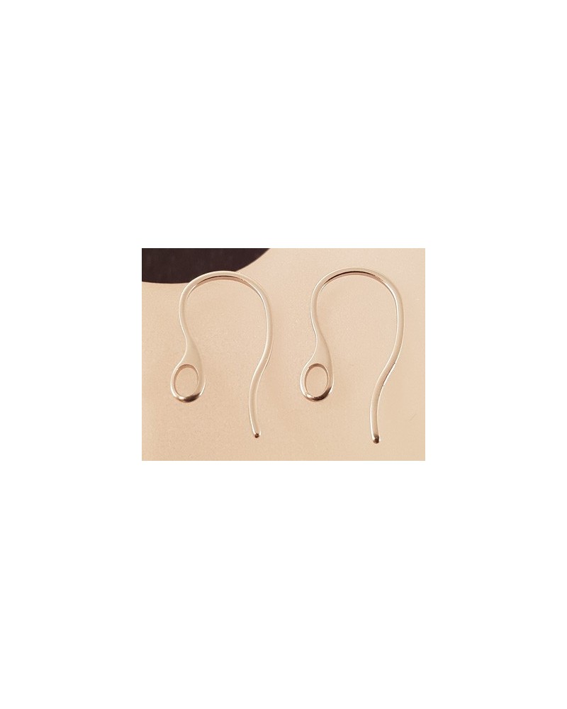 Ohrhaken 18mm (2 Stk), Edelstahl
