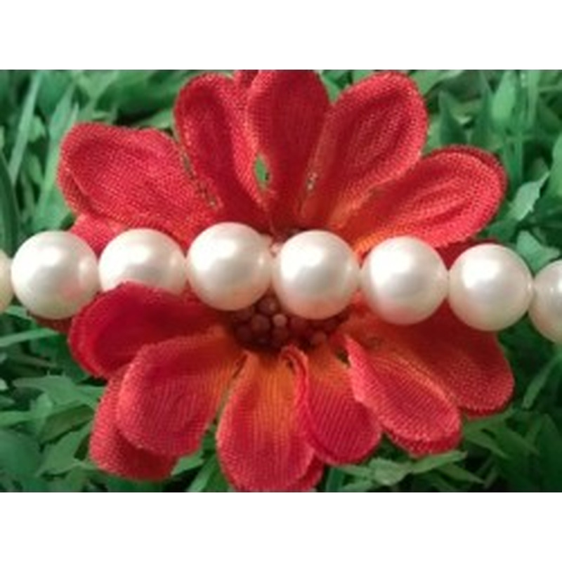Shellperle 6mm