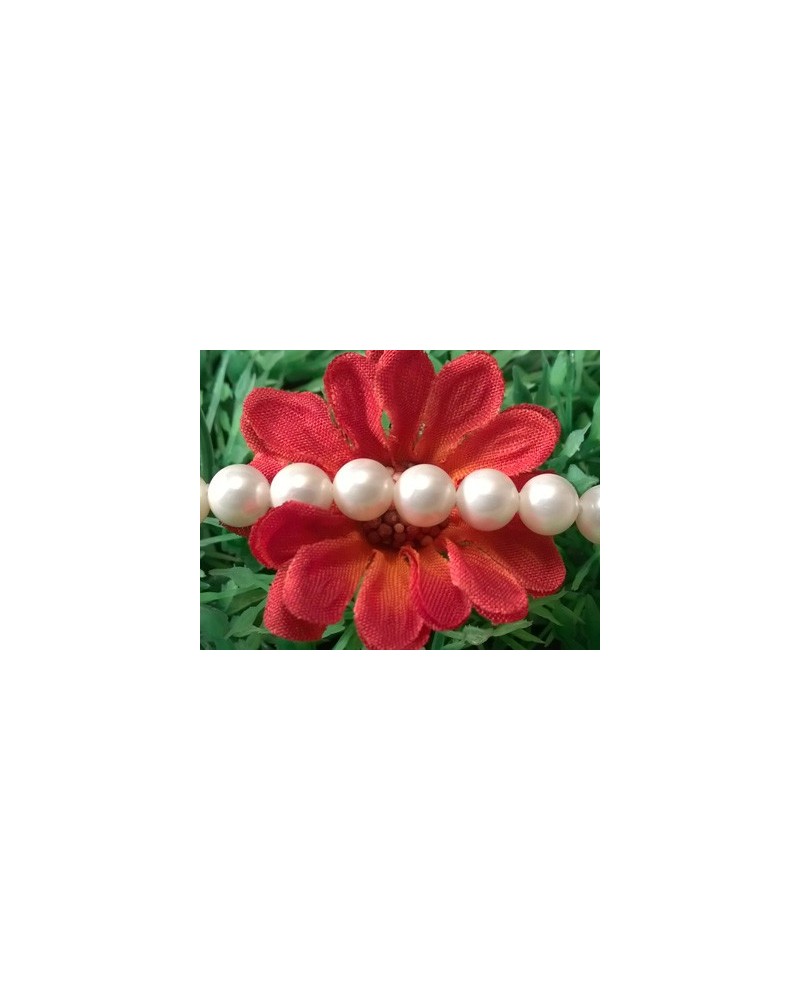 Shellperle 6mm