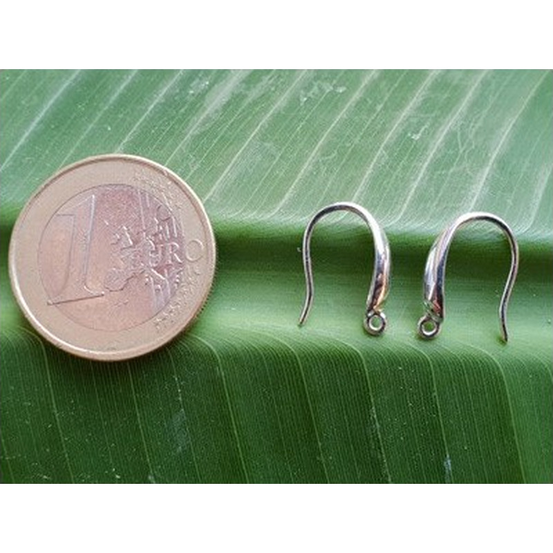 2 Stk. Ohrhaken 14mm, 925 Silber