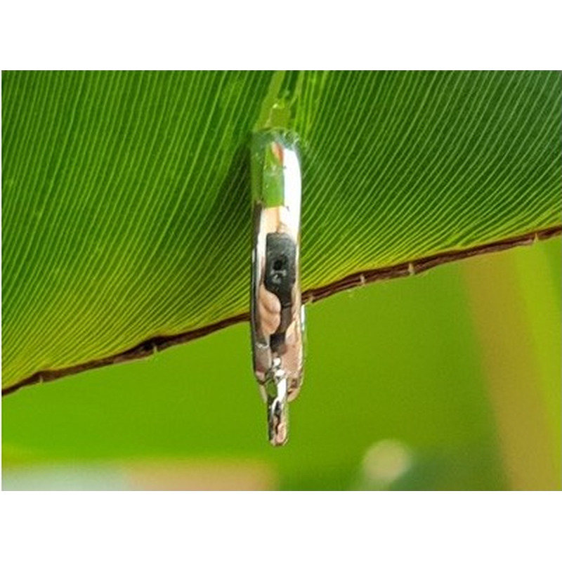 Clipschliesse 8x13mm, 925 Silber