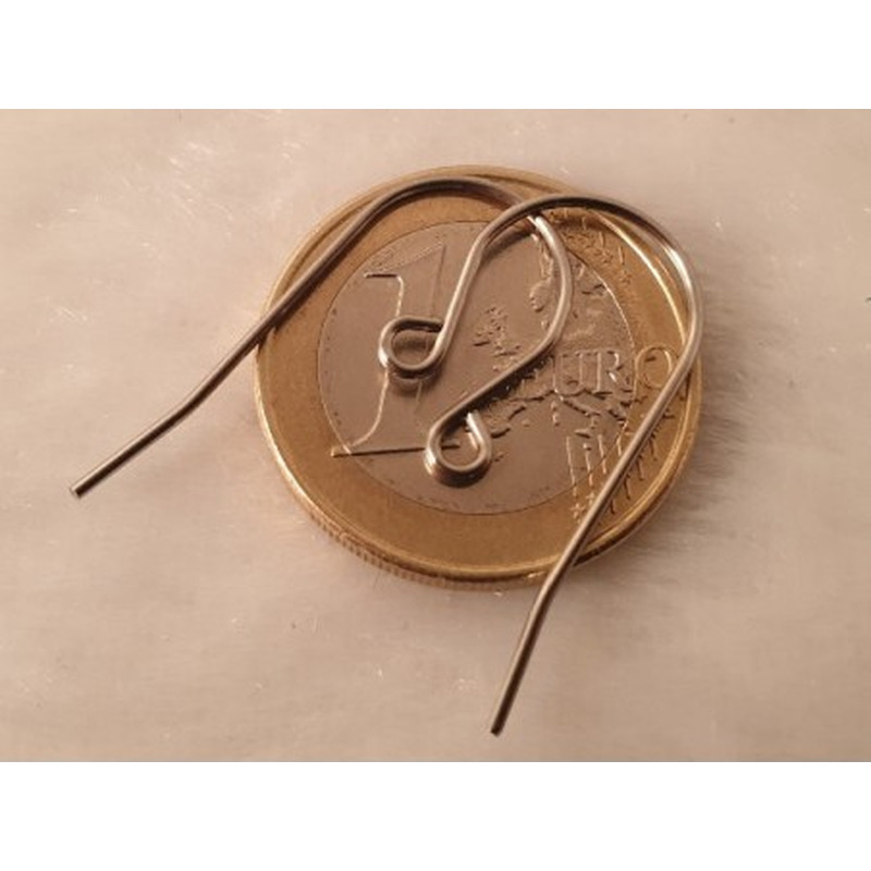 Ohrhaken 16mm (2 Stk), Edelstahl