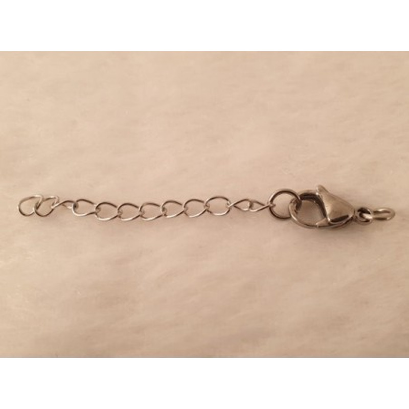 Karabiner 15mm Edelstahl mit Ketterl 65mm