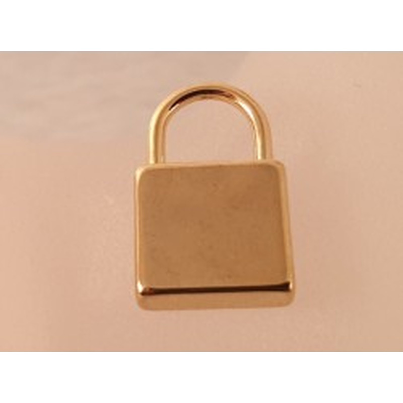 Charm Vorhängeschloss 19x12x4mm, Edelstahl gold