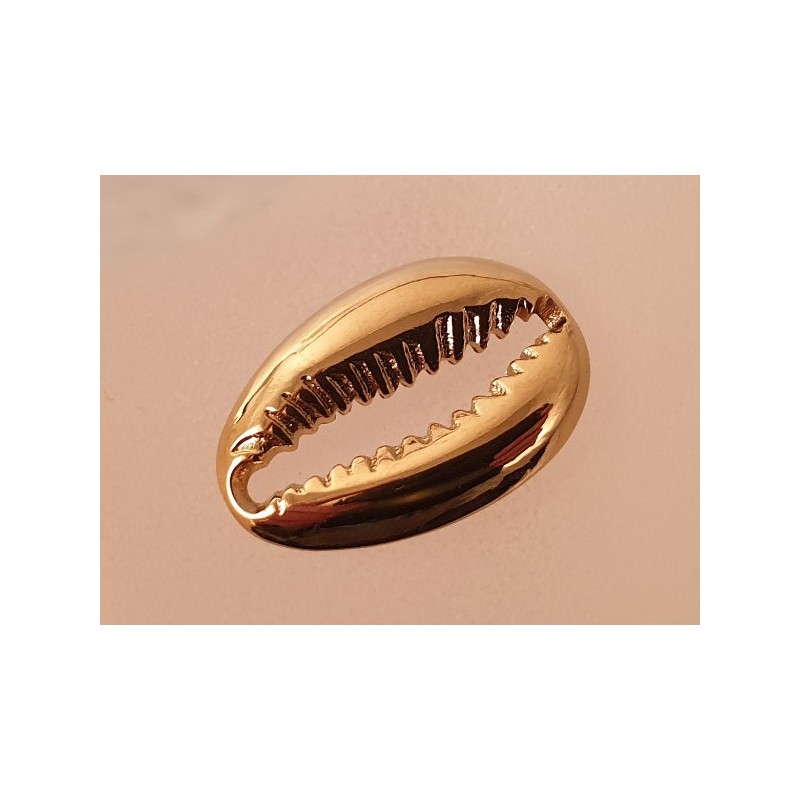 Zwischenteil-LInk Kaurimuschel 19x13x3mm, Edelstahl gold