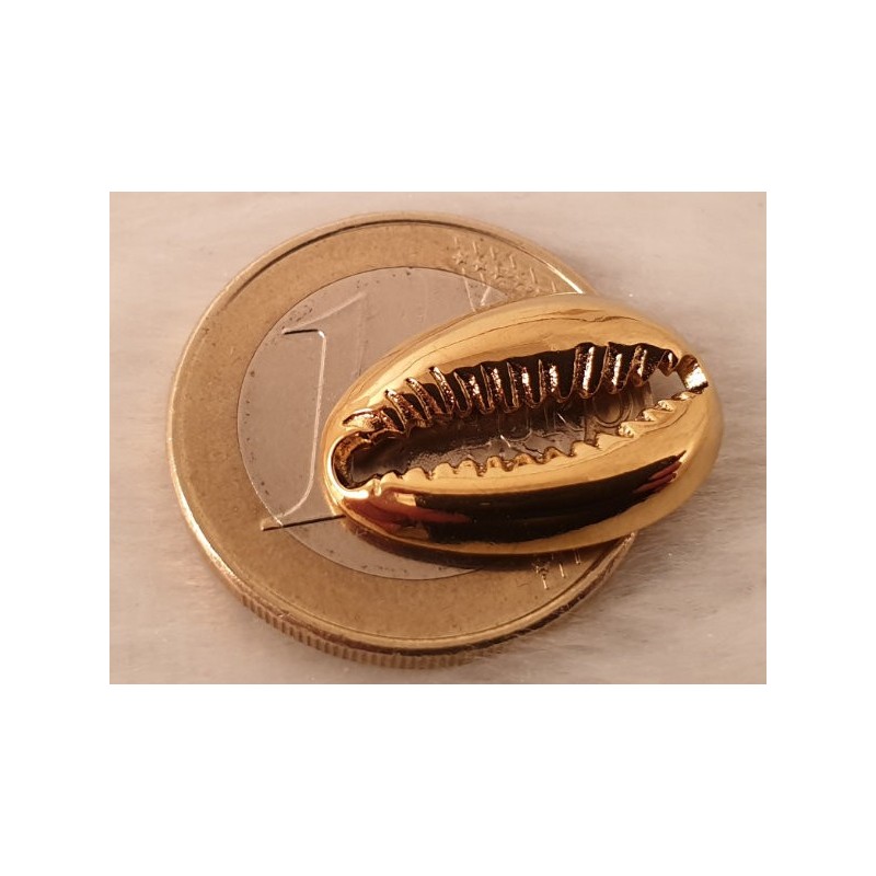 Zwischenteil-LInk Kaurimuschel 19x13x3mm, Edelstahl gold