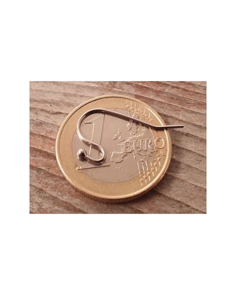 Ohrhaken 21x12mm (2 Stk), Edelstahl