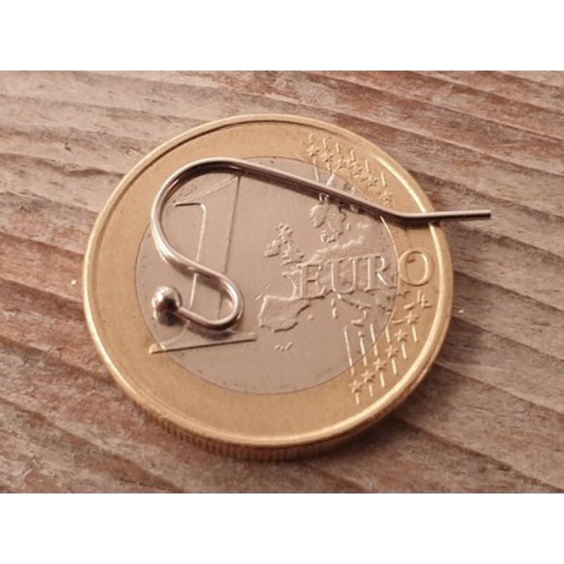 Ohrhaken 21x12mm (2 Stk), Edelstahl