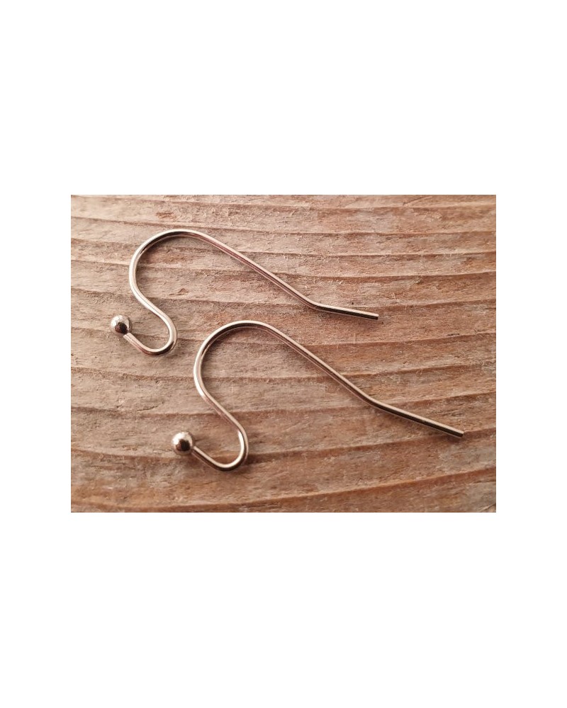 Ohrhaken 21x12mm (2 Stk), Edelstahl
