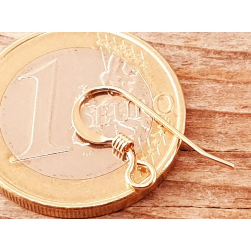 2 Stk. Ohrhaken 13mm, Goldfilled