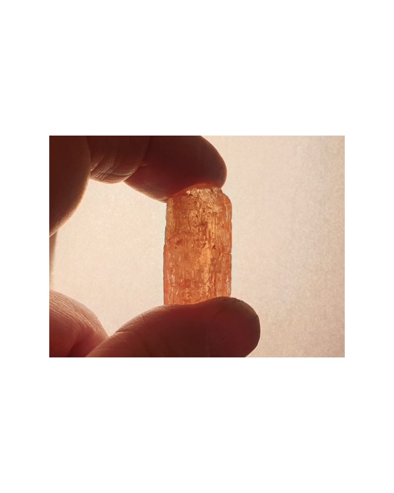 Goldtopas XL 31mm